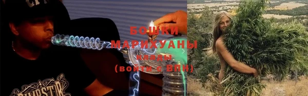 ГАЛЛЮЦИНОГЕННЫЕ ГРИБЫ Рославль
