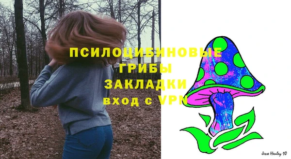 дживик Алексеевка