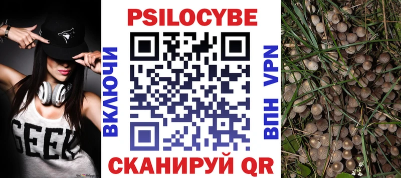 Псилоцибиновые грибы GOLDEN TEACHER  Дмитриев 